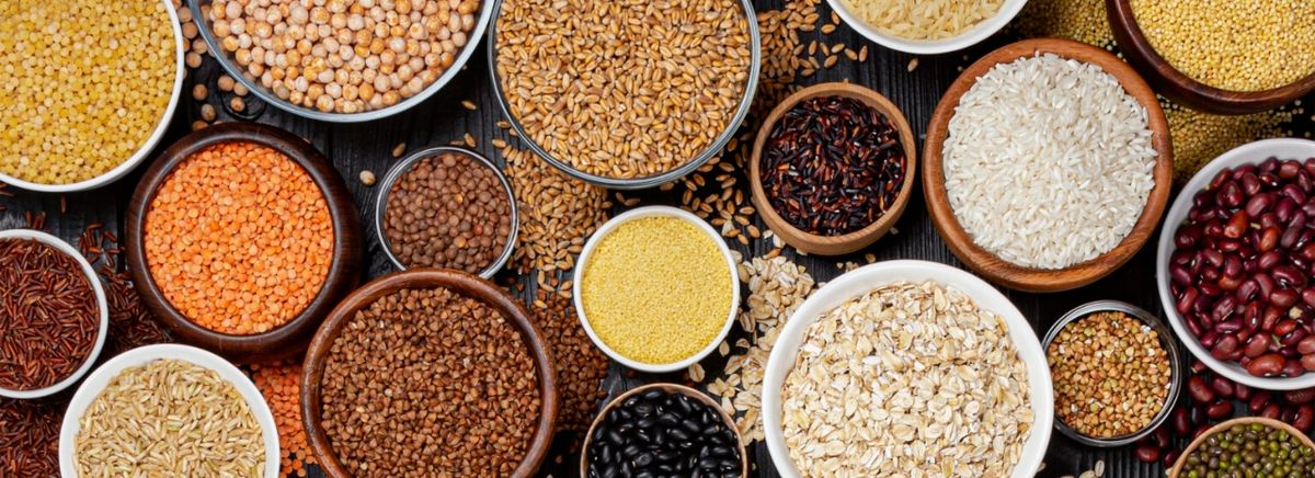 Organe produtos naturais e orgânicos logo