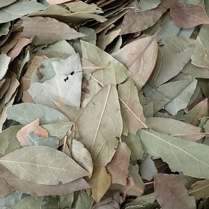 imagem do produto LOURO EM FOLHA