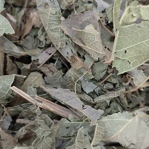 imagem do produto ASSA PEIXE