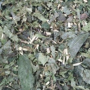 imagem do produto ESPINHEIRA SANTA