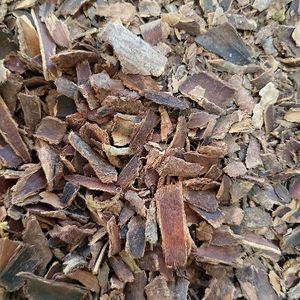 imagem do produto CASCARA SAGRADA RASURADA