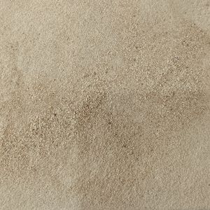 imagem do produto LEVEDO DE CERVEJA