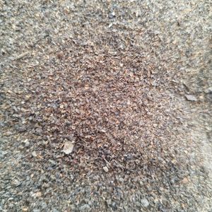 imagem do produto PIMENTA PRETA EM PO