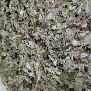 imagem do produto ALCACHORA FOLHA