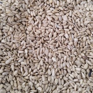 imagem do produto PEPITAS DE GIRASSOL