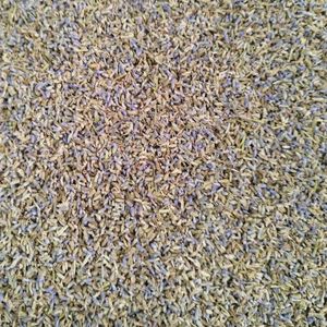 imagem do produto ALFAZEMA