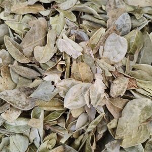 imagem do produto BOLDO EM FOLHAS