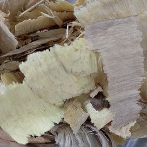 imagem do produto PAU TENENTE