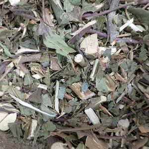 imagem do produto FOLHA DE AMORA