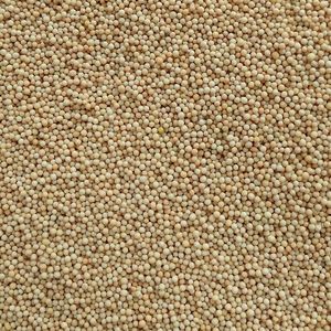 imagem do produto MOSTARDA EM GRAO