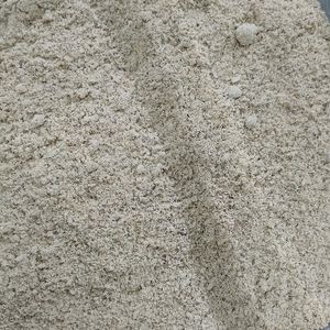 imagem do produto GINSENG