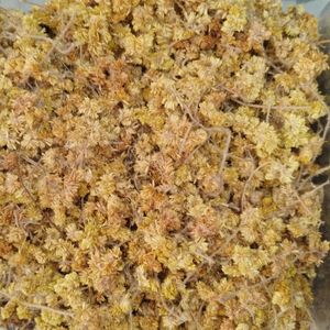 imagem do produto MACELA