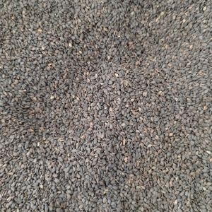 imagem do produto GERGELIM PRETO