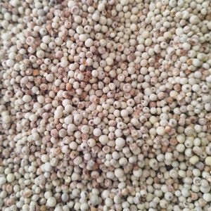 imagem do produto PIMENTA BRANCA EM GRAO