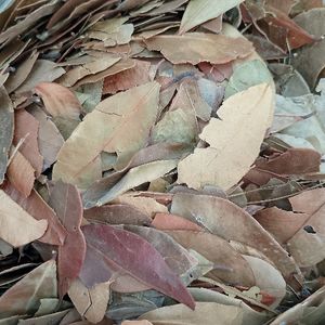 imagem do produto insulina