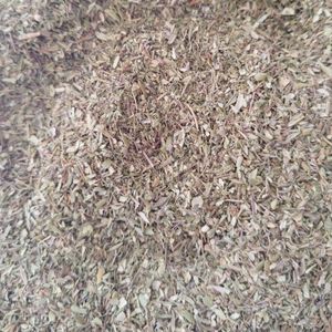 imagem do produto TOMILHO