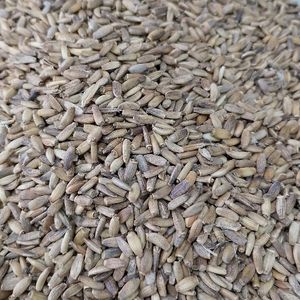 imagem do produto CARDO MARIANO