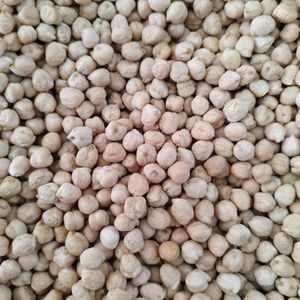 imagem do produto GRAO DE BICO