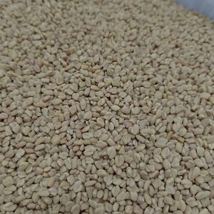 imagem do produto FENO GREGO