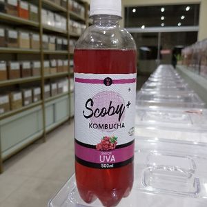 imagem do produto KOMBUCHA SCOBY UVA