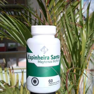 imagem do produto ESPINHEIRA SANTA MAYTENUS ILICIFOLIA CIÊNCIAS DA NATUREZA