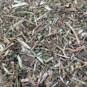 imagem do produto ERVA SAO JOAO/ ARTEMÍSIA