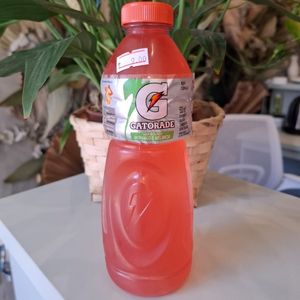 imagem do produto GATORADE