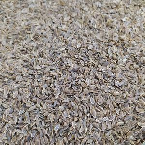 imagem do produto ENDRO