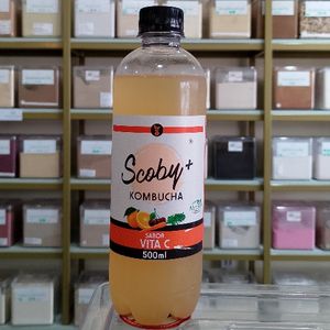 imagem do produto KOMBUCHA VITA C