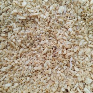 imagem do produto ALHO GRANULADO