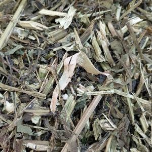 imagem do produto PICAO PRETO