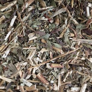 imagem do produto ARNICA SILVESTRE