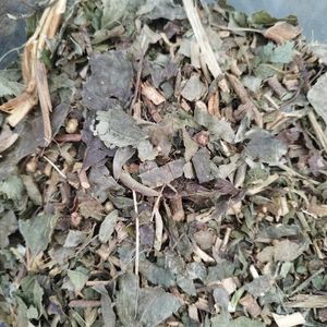 imagem do produto GUACO