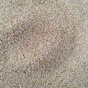 imagem do produto QUINOA BRANCA