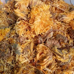 imagem do produto CALÊNDULA FLOR