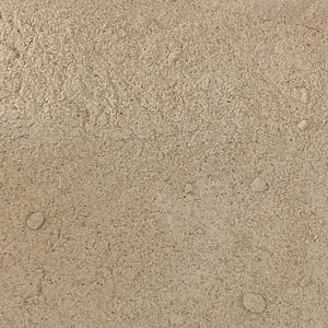 imagem do produto LIMAO EM PO