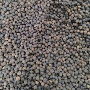 imagem do produto PIMENTA PRETA EM GRAO