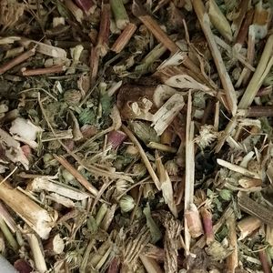 imagem do produto ERVA DE SAO JOAO