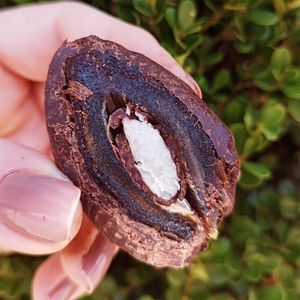 imagem do produto CHOCOTAMARA