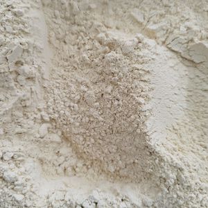 imagem do produto ALHO EM PÓ