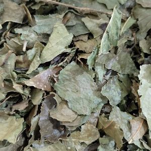 imagem do produto PORANGABA