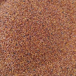 imagem do produto QUINOA VERMELHA