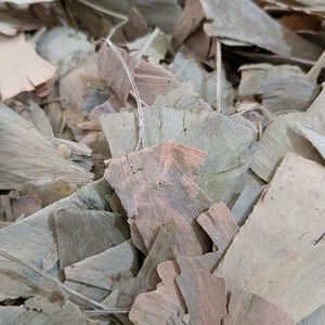 imagem do produto GINKO BILOBA