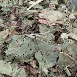 imagem do produto CHAPÉU DE COURO