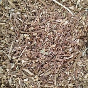 imagem do produto CARQUEJA AMARGA