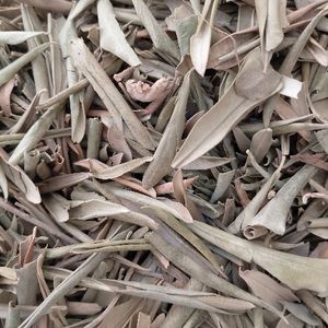 imagem do produto OLIVEIRA FOLHA