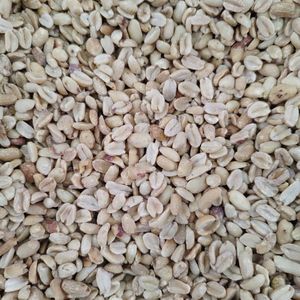 imagem do produto AMENDOIM TORRADO S/ SAL