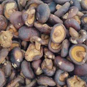 imagem do produto COGUMELO CHIPS