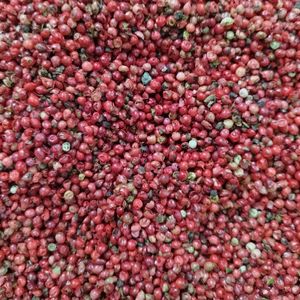 imagem do produto PIMENTA ROSA