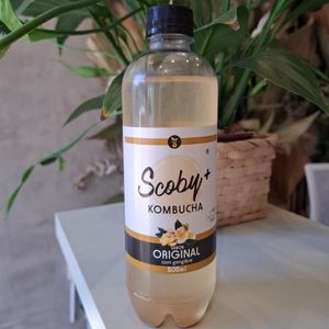 imagem do produto SCOBY KOMBUCHA
